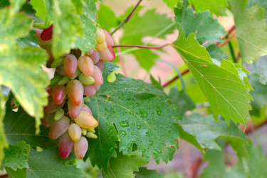 Similar image 11416054