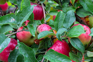 Similar image 11414905