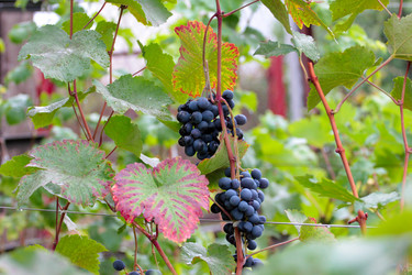 Similar image 11415760