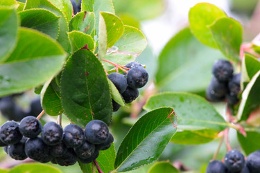 Similar image 11414907