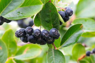 Similar image 11414908