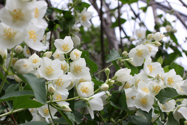 Similar image 11415761