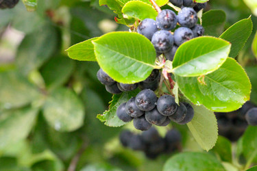 Similar image 11414910