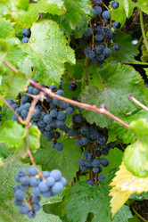 Similar image 11414911