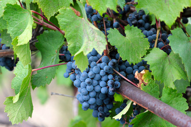 Similar image 11414913