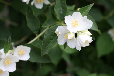 Similar image 11414914