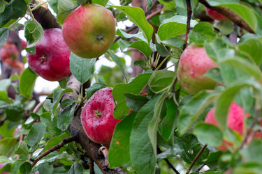 Similar image 11414916