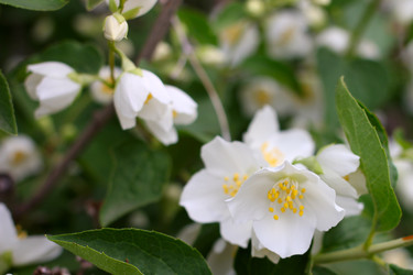 Similar image 11414917