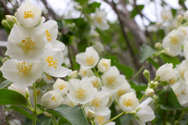 Similar image 11414918