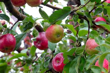 Similar image 11414921