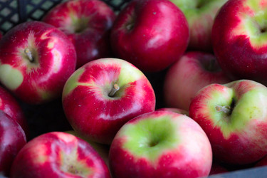 Similar image 11414923