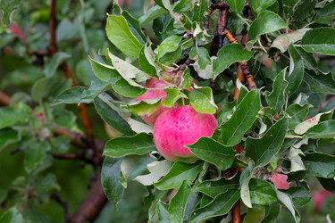 Similar image 11414924