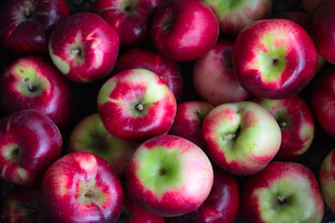 Similar image 11414925