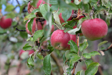 Similar image 11414926