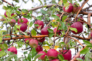 Similar image 11414927