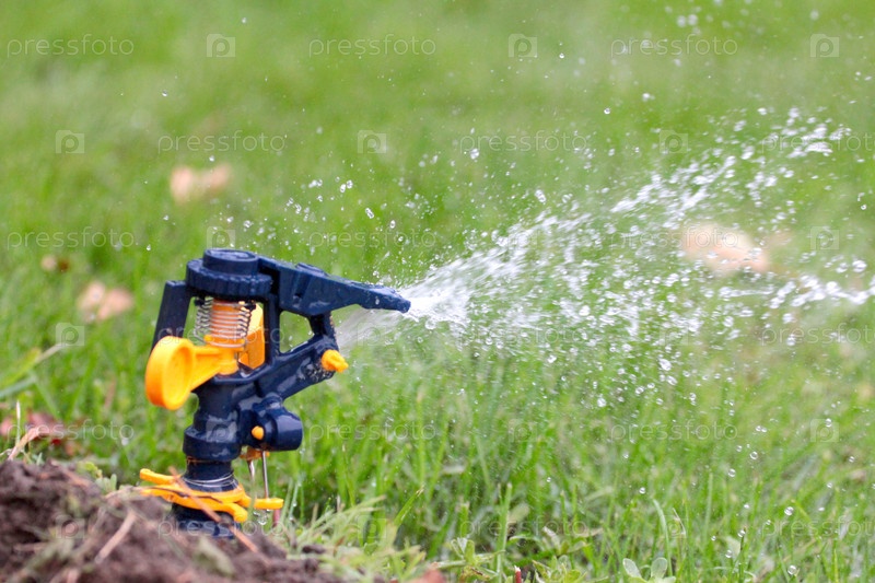 download Waldbeschadigungen durch