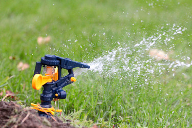 Similar image 11414930