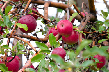 Similar image 11414933