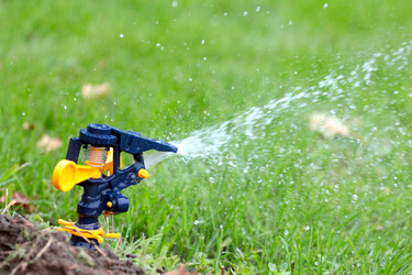 Similar image 11414934