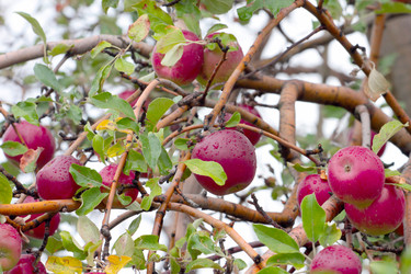 Similar image 11414935