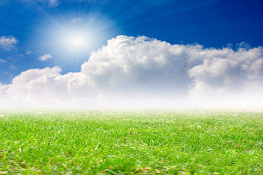 Similar image 11414941