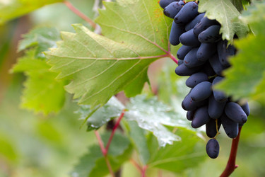 Similar image 11414943