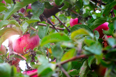 Similar image 11414944