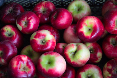 Similar image 11415762