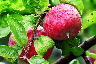 Similar image 11414945