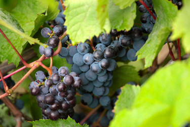 Similar image 11414947