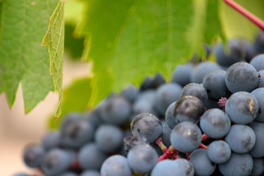 Similar image 11414948