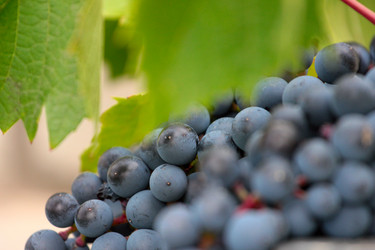 Similar image 11414889