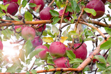 Similar image 11414890