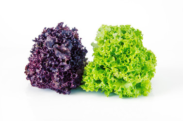 Similar image 11414782