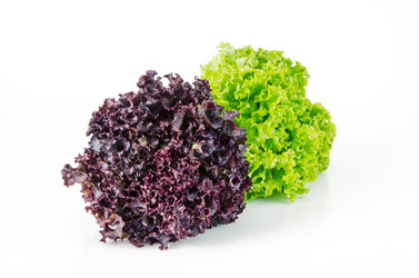 Similar image 11414783