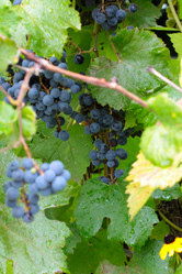 Similar image 11414891