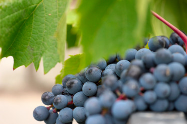 Similar image 11414892