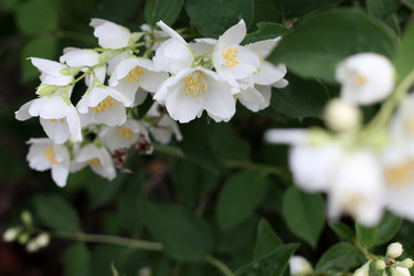 Similar image 11414893