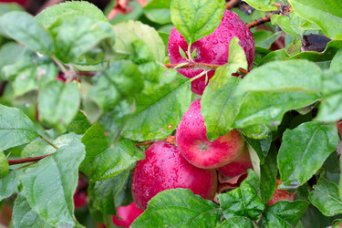 Similar image 11414895