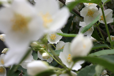 Similar image 11414896