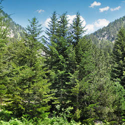 Similar image 11416137