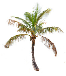 Similar image 11425831