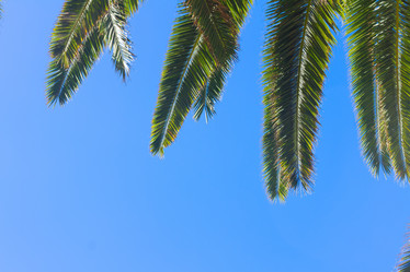 Similar image 11425832