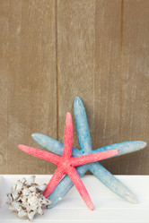 Similar image 11425853