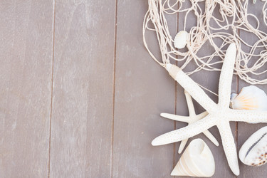 Similar image 11425974