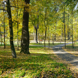 Similar image 11415789