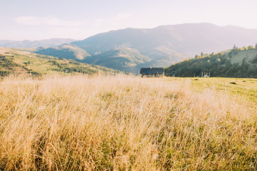 Similar image 11427657