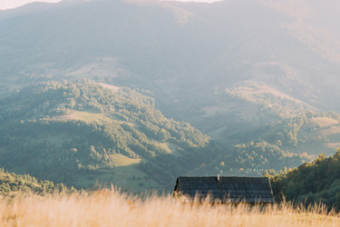 Similar image 11427695