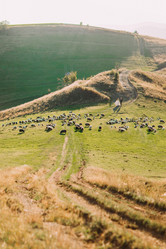 Similar image 11427696