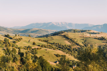 Similar image 11427711